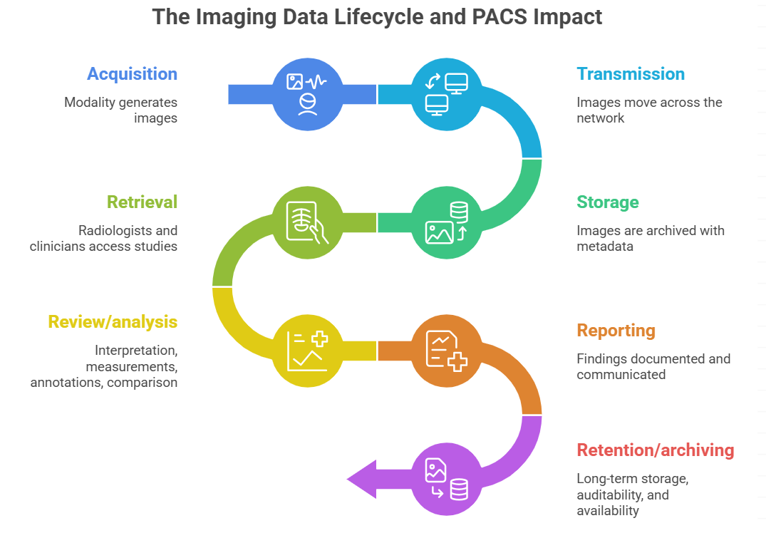 The Imaging Data Lifecycle and PACS Impact